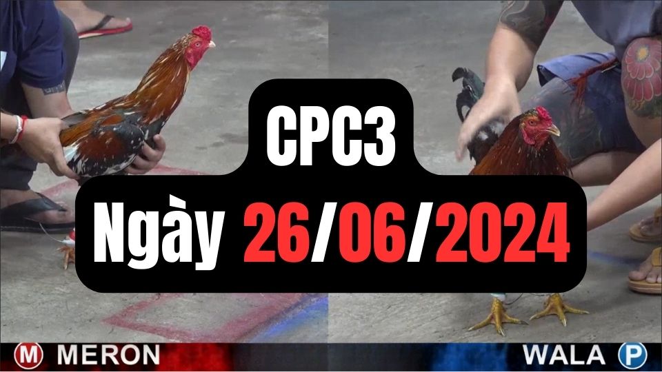 Đá gà thomo CPC3 ngày 26/06/2024