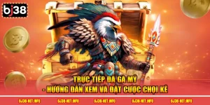 trực tiếp đá gà mỹ